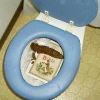 Picture for song 'Anal Battering Ram' by artist 'Intestinal Noose'