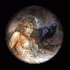 Picture for song 'With Every Breath' by artist 'Intrepid Souls'