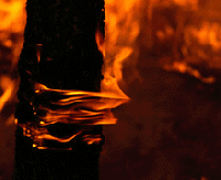 Picture for song 'Battle verse vs re-dogg' by artist 'Intro'