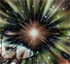 Picture for song 'From Orion To Giza - part 2' by artist 'Invisible Acropolis'