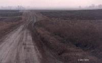 Picture for song 'county line' by artist 'invisiblenow'