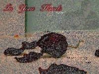 Picture for song 'Trust (sample clip)' by artist 'In Your Hands'