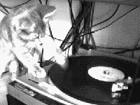Picture for song 'AkA (several title 3 mix)' by artist 'ion'