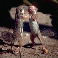 Picture for song 'Bad Vibrations' by artist 'iOproductions'