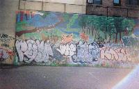 Picture for song 'Mantis in a Web' by artist 'Irregular Surgeon'