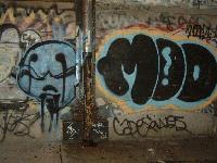 Picture for song 'Project A**kick' by artist 'Irregular Surgeon'