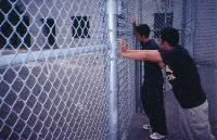 Picture for song 'Exertion' by artist 'Irregular Surgeon And Blight'