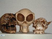 Picture for song 'You Will Lose' by artist 'Irregular Surgeon And Blight'