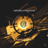 Picture for song 'Optical Frequence - Light Me (remixed by ZPr1)' by artist 'ISENNGARD (remixed)'