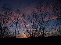Picture for song 'Music for a Spring Evening' by artist 'Ismael Strom'