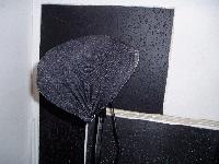 Picture for song 'Life's Demise' by artist 'Italikz'