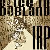 Picture for song 'Dub the Rabbit Hole' by artist 'Ital Roots Players'