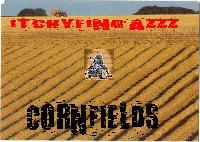Picture for song 'Cornfields' by artist 'ITCHYFINGAZZZ'