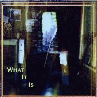 Picture for song 'Wing' by artist 'It Is What It Is'