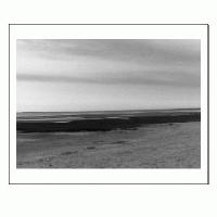 Picture for song 'voices II' by artist 'ivan kapec'