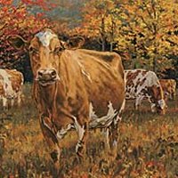 Picture for song 'Playing Piano for a Cow' by artist 'Ivan Pong'