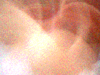 Picture for song 'Gihad' by artist 'IV League Productions'