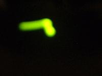 Picture for song 'U.F.O' by artist 'IV League Productions'