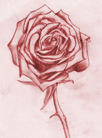 Picture for song 'A Life Well-Lived' by artist 'ixi'