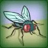 Picture for song 'Long fly' by artist 'izzumm'
