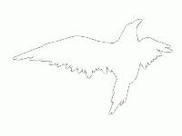 Picture for song 'Life Song - 3:20' by artist 'Jack Steadman'