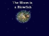 Picture for song 'The Moon is a Blowfish - 6:04' by artist 'Jack Steadman'
