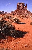 Picture for song 'Lead Me To The Desert' by artist 'Jacques Goudreault'