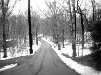 Picture for song 'Long Road To Forget' by artist 'Jacques Goudreault'