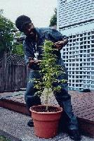 Picture for song 'Stop' by artist 'Jahranimo'