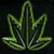 cover pic