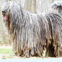 Picture for song 'deck of cards' by artist 'James Godwin'