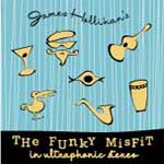 Picture for song 'The Funky Misfit' by artist 'James Hollihan'