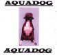 Picture for song 'Aquadog' by artist 'James Hurtado'