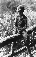 Picture for song 'Sittin' On The Fence - instrumental' by artist 'James Mitchell'