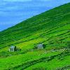 Picture for song 'Irish Fields' by artist 'James White'