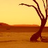 Picture for song 'Wake the Spirits' by artist 'James White'