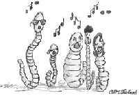 Picture for song 'Nicknamez and Identities' by artist 'Jamez Bong'