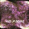 Picture for song '" Web of Desire "' by artist 'Jamie Brayden'