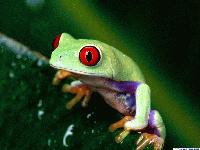 Picture for song 'one' by artist 'Jan Bird'