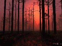 Picture for song 'Typical Cruisin Song' by artist 'Jargon'