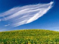 Picture for song 'A Song For Life ~ Eric Johnson Cover' by artist 'Jason Williams'