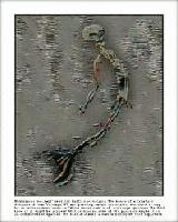 Picture for song 'S.A. Improv' by artist 'Jay Alaniz'