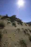 Picture for song 'A Walk In The Sand' by artist 'Jay Hines'