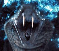 Picture for song 'deepest thoughts' by artist 'denzie'