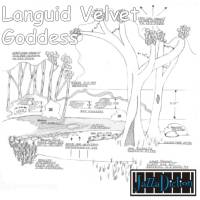 Picture for song 'The Lie' by artist 'Jazza Diction'