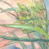 Picture for song 'BlueGreen Fade V4' by artist 'Jazz Airwaves'