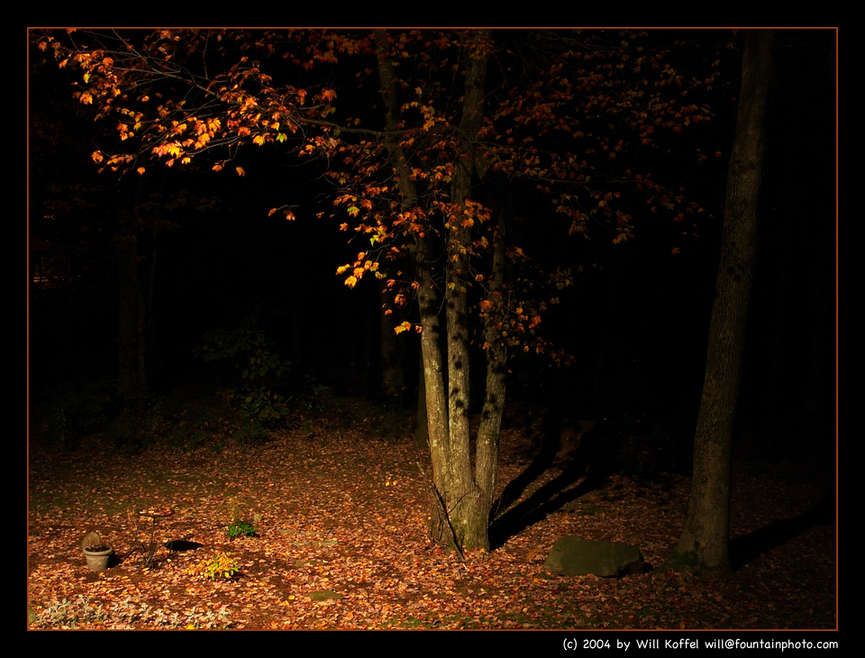 Picture for song 'Midnight Shuffle' by artist 'JB Mayes'