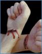 Picture for song 'Cut Your Wrist' by artist 'J Butter'