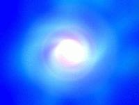 Picture for song 'Latin Shiznit (feat. Phunkster)' by artist 'JCL'