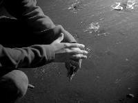 Picture for song '11- Unfortunate Luck' by artist 'JC Manlapat'